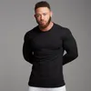 T-shirt da uomo Uomo Autunno Inverno Sport Abbigliamento da uomo Fitness Casual Slim Maniche lunghe Tinta unita Trendy Tutto-fiammifero ChicMen's