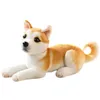 32 cm symulacja pies pluszowa pluszowa wypchana Husky Shiba Inu Dalmatian Pug Pies Puppy Lalk Decor Decor Decor Birthday Prezent La435