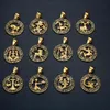 12 Signe du Zodiaque Horoscope Pendentif Colliers pour Hommes Femmes Or Bélier Lion 12 Constellations Livraison Directe Collier Bijoux