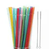 24cm PP paille en plastique matériau de protection de l'environnement réutilisable Pailles à boire et brosse de nettoyage de paille brosse à bouteille à poils souplesZC1031