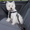 Colares Cachorrinhos Cinto de Segurança de Cinto de Segurança de Nylon para Durável Reflexivo Bungee Leash Veículo Pequenos Cães Grandes