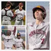 NCAA Custom costurou Minnesota Golden Gophers Jersey de beisebol 11 Paul Molitor 31 Dave Winfield 23 Max Meyer 4 Eli Wilson 10 Cole McDevitt 1 Ben Mezzenga 1 Jake Larson