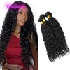 브라질 처녀 인간 머리 6 조각 이중 wefts 물 웨이브 Yirubeauty 곱슬 머리 제품 10-30inch 자연 컬러