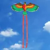110 cm Flat Eagle Kite Dzieci latające ptaki latawce Windsock Outdoor Toys Garden Flot Toys for Kids Prezent 220602