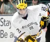 College Hockey Wears hokej hokej nosze NCAA Custom Michigan Wolverines zszyty hokeja hokeja 74 Nicholas Boka 2 Luke Martin 13 Jake Slaker 33 Joseph Cecconi