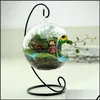 Vases Home Decor Garden Ll Micro Landscape Ecological Bottle Iron Frame Without Wrought Irons Hanging Plant Flower Stand Dhr7S