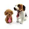 Haustierkatze und Hunde Bowes Krawatte Los gemischt Farbbräuelzubehör verstellbare Welpen Bogen Produkte Pet Bows Bindes Vorräte