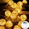 سلاسل LED FARY GARLAND BALL LIGHT LIGHT LIGHT FOR TREENT TREENT HOME INDOOR DERINGER BUTTION