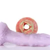 Nothosaur Soft Anal Plug Ovipositor Dildo Penis utan äggfantasi Vaginal Balls Buttplug för män Kvinnor Sexiga leksaker BDSM Toy