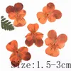 60PCs pressad torkad pansy viola tricolor L. blomma växter herbarium för smycken vykort bokmärke telefon fall gör DIY 220406