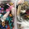1 Box Natural Dried Flowers for Resin Jewellery Dry Plants Pressed Flowers Making Craft DIY Accessories