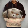 Erkek Hoodies Sweatshirts 3D Son Sevimli Katlanır Kedi Baskı Büyük Çift Gömlek Kentsel Moda ve Kadınların Gevşek Kapşonlu Yakışıklı Adam