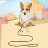 犬の襟のひも1.8mの耐久の子犬ロープ咬合抵抗性の破れ牽引ハーネスひも