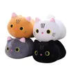 Peluche chat à gros yeux doux, jouet animaux, quatre couleurs, chats mignons, taille 25-35-50cm, oreiller de couchage pour enfants