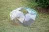 Parapluies transparents Parapluies en PVC transparent à long manche 6 couleurs Parapluie anti-pluie 200pcs DAP474