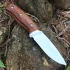 Coltello da cucina esterno a lama fissa di alta qualità manico in legno da campeggio da campeggio per sopravvivenza da campeggio