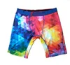 men underwear underpants boxer beach reathable Underpant Mens sexy Tight Waist Man