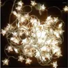 Strings LED 1.5m Luci a stringa per tende a forma di stella Illuminazione per interni Artigianato per esterni Ghirlanda per feste di nozzeLED