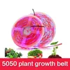 Remsor LED 12V växtljusremsa 60LEDS/m vattentät för växter odlar fyto lampa växthushydroponic planterad