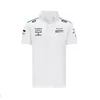 2022 New Summer Lapel Polo Shirt Long-sleeved Formula One Team Clothing Custom F1 Fan Oversized