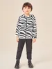 Jaqueta infantil de pelúcia com capuz e listras zebra para meninos SHE012346341692