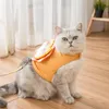 Collares para perros correas León de dibujos animados arnés para mascotas naranja lindo chaleco para gato con correa de cuerda conjunto para cachorro pequeño proveedor de Chihuahua