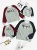 Toddler Boys 1pc Bear And Letter Graphic Cable Textured Sweatshirt SHE