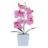 Decorative Flowers & Wreaths Artificial Butterfly Orchid Bonsai Plants Fadeless Lifeful Plastic Simulation Potted Flower For Garden Decorati