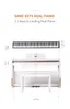 49 61 88 touches souples portables Midi contrôleur numérique synthétiseur main retrousser Piano électronique clavier de Piano instruments de musique