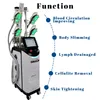 Multi Functional Cryolipolysis Fat Freezing Machine Slimming Body Line Cellulite Removal Mini Cryo Double Chin Reduction Arms Legs Abdominal Treatment