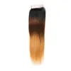Brésilien Human Virgin Hair 1B / 4/27 Silky Straight Body Wave Deep Wave 4x4 Lace Ferme Free Part Ombre Color 10-24inch