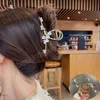 Üst düzey çiçek büyük kap klipsleri mizaç zarif saç tokası at kuyruğu pençe kadın saç klipli takı tiara