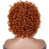 Parrucche Afro Kinky Wave Capelli ricci africani Parrucca soffice Parrucca corta marrone chiaro Copricapo