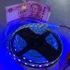 Şeritler LED şerit ışığı SMD 60LEDS/M 395-405NM Ultraviyole Ray Diyot Şeridi Mor DJ floresanlı şeritli Soyu