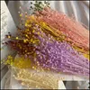 Ghirlande di fiori decorativi Forniture per feste festive Giardino domestico 1 mazzo di piante naturali Ricco di fagioli di acacia Fiore artificiale Matrimonio fatto a mano