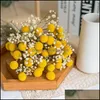Decorative Flowers Wreaths 20Pcs Craspedia Billy Ball Natural Dried Bouqet Arrangement In Vase Preserved For Decoration Wedding Home Drop