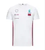 Nieuw zomer F1 Formule 1 T-shirt met ronde hals en korte mouwen op maat