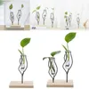 Pflanzgefäße, Töpfe, innovative Hydrokultur, transparent, einfacher Blumentopf aus Eisen, Desktop-Frischebehälter, Wohnzimmer, moderne Dekoration, Pflanzgefäße