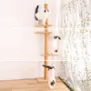 H228274cm Binnenlandse levering Krabpaal voor huisdieren Verstelbare krabpaal Klimboom Kattenspeelgoed Superhoog springspeelgoed voor katten 276319995