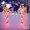 Strings Solar Christmas Candy Cane Light Outdoor Waterproof Day LED Home Garden Passage Courtyard Lawn Decoration LightLED