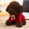 Simülasyon Köpek Peluş Oyuncak Bebek Raç Bebek Kıvırcık Teddy Husky Golden Retriever Çocuk Dolls Doğum Günü Hediyesi