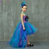 Paon Tutu Costume Robe Enfant Filles Pageant Bal Robe De Bal Princesse Plume Halloween Fête D'anniversaire Train 220422