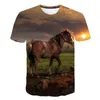 Erkek Tişörtleri Renkli Run Horse Hip Hop Tişört Erkekler 3D Baskı Büyük Boy T-Shirt Harajuku Tarzı Yaz Kısa Kollu Tee Toss Homme Casual