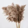 Couronnes de fleurs décoratives 10 pièces véritable scirpe plantes séchées naturelles petite fleur sèche pour la décoration herbe de Pampas en bouquet de mariage maison de