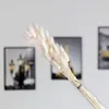 Decoratieve bloemen kransen dekoratie pampas natuurlijk staart gras gedroogd feest ambacht plakboek boeket phragmites bruiloft decoratie homedeco