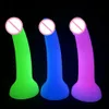 Godemiché Anal lumineux en Silicone, jouets sexy pour femmes/hommes, godes lumineux en gelée, masturbateurs vaginaux, boutique pour adultes