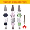 Wholesale colorful big Smoking Oil Burner Pipes Pyrex Glass Straw Dab Collect kit with stainless steel tip nail and plastic clip
