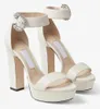 2022 Zomer luxe merken Platform Sandalen schoenen voor vrouwen Crystal Buckle Block Heel HOEELDE HOUDEN DRAAD DAME DAME DOPPOUNTER