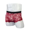 Caleçon Homme Sexy Sous-Vêtements Tentation Transparent Dentelle Dos Maille Taille Basse Petit Boxer Slip Rôle Swap Alternative PerformanceUnde