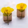 Decorative Flowers & Wreaths Original Rape DIY Dried Pressed For Earring Handmande Floral Free Shipment 1 Lot/120pcsDecorative